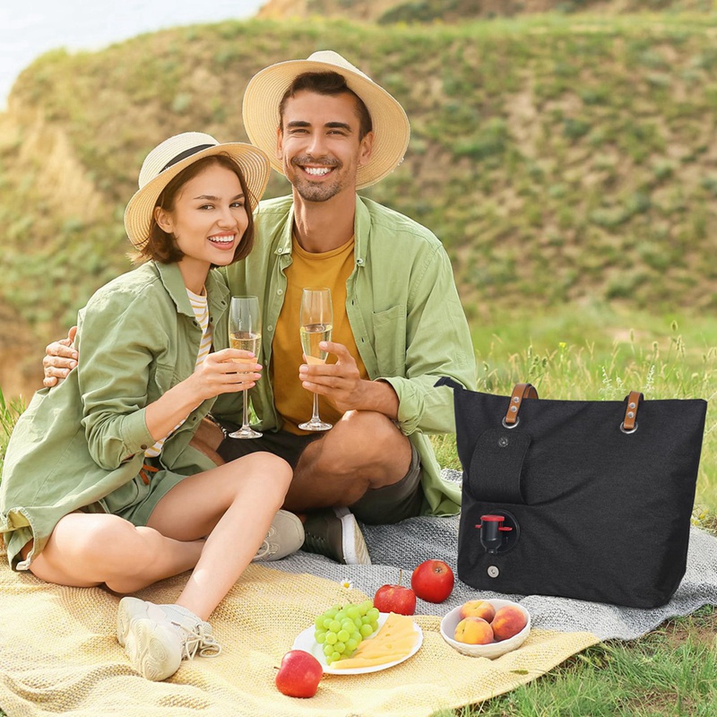 Bolso de mano para vino calien - Wine Beer Refrigerator reseña y precio
